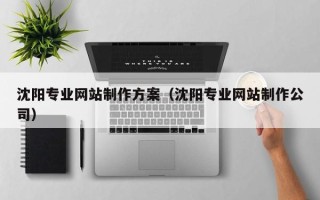 京山沈阳专业网站制作方案（沈阳专业网站制作公司）